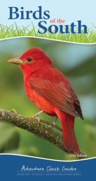 Image for Birds of the south  : your way to easily identify backyard birds