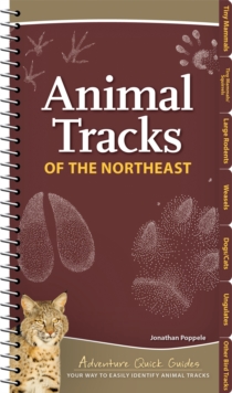 Animal Tracks of the Northeast