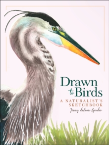 Drawn to Birds: A Naturalist’s Sketchbook