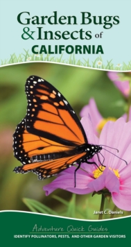 Image for Garden Bugs & Insects of California : Identify Pollinators, Pests, and Other Garden Visitors