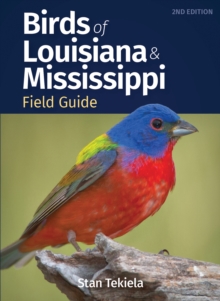 Image for Birds of Louisiana & Mississippi field guide