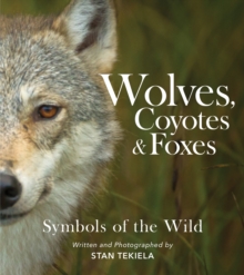 Wolves, Coyotes & Foxes: Symbols of the Wild