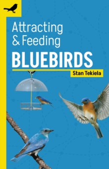 Image for Attracting & feeding bluebirds