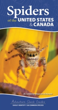Image for Spiders of the United States : A Guide to Common Species