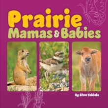 Image for Prairie Mamas and Babies