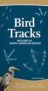 Image for Bird Tracks : Easily Identify 55 Common North American Species
