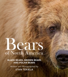 Image for Bears of North America : Black Bears, Brown Bears, and Polar Bears