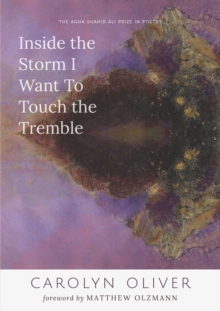 Image for Inside the Storm I Want to Touch the Tremble