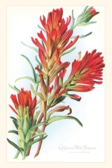 Image for The Vintage Journal California Wildflowers, Indian Warrior
