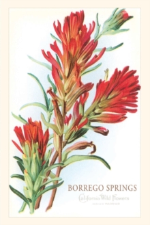 Image for Vintage Journal Borrego Springs, Wildflowers