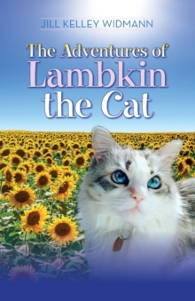 Image for The Adventures of Lambkin the Cat