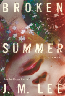 Image for Broken summer  : a novel