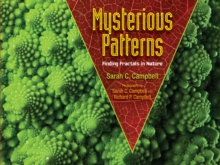 Mysterious Patterns: Finding Fractals in Nature