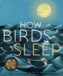 Image for How birds sleep