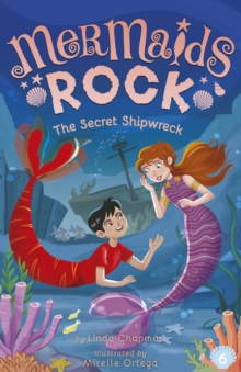 Image for The Secret Shipwreck
