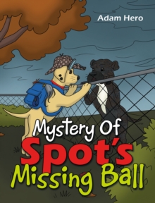 Image for Mystery Of Spot's Missing Ball