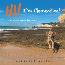 Image for Hi! I'm Clementine!: I'm a little brown dog who will help you learn Portuguese
