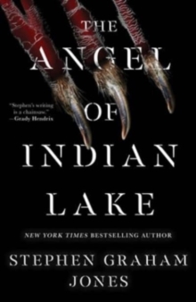 Image for The Angel of Indian Lake