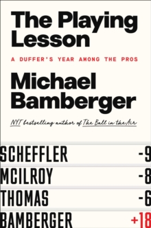 Image for The Playing Lesson