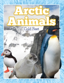 Image for Arctic Animals