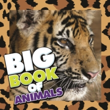 Image for Big Book of Animals: Children's Book of Animal Fun Facts