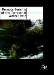 Remote Sensing of the Terrestrial Water Cycle