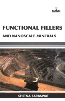 Image for Functional Fillers and Nanoscale Minerals