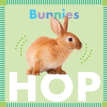 Image for Bunnies Hop