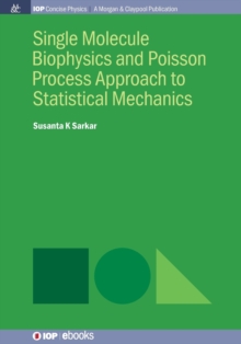 Image for Single molecule biophysics and poisson process approach to statistical mechanics