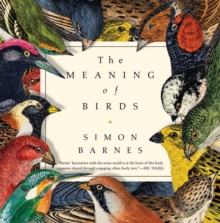Image for The Meaning of Birds
