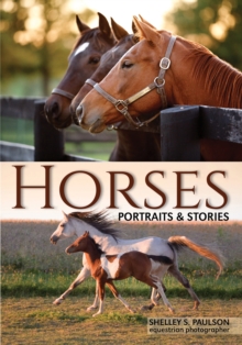 Image for Horses: Portraits & Stories
