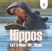Image for Hippos - Let's Meet Mr. Hippo