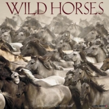 Image for Wild Horses 2018 Wall Calendar