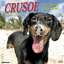 Image for Crusoe the Celebrity Dachshund 2020 Wall Calendar (Dog Breed Calendar)