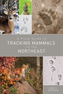 Image for A Field Guide to Tracking Mammals in the Northeast