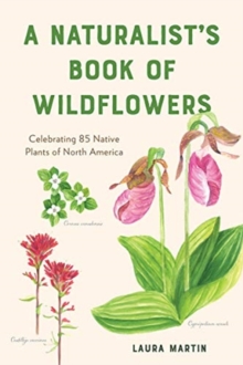 Image for A Naturalist's Book of Wildflowers