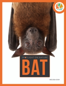 Spotlight on Nature: Bat