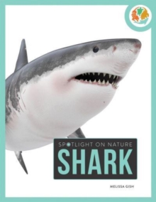 Spotlight on Nature: Shark