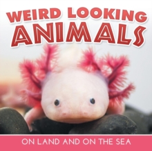 Image for Weird Looking Animals On Land and On The Sea