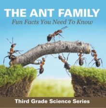 Image for The Ant Family--Fun Facts You Need to Know