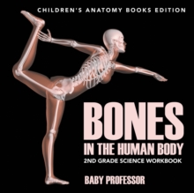 Image for Bones in The Human Body