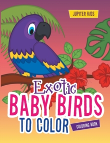Image for Exotic Baby Birds to Color Coloring Book