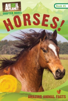 Horses!