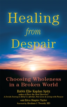 Image for Healing from Despair : Choosing Wholeness in a Broken World