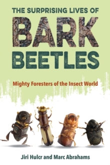 Image for The surprising lives of bark beetles  : mighty foresters of the insect world