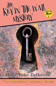 Image for The Key in the Wall Mystery