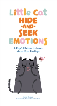 Image for Little Cat Hide-and-Seek Emotions