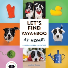 Image for Let's Find Yaya and Boo at Home! 