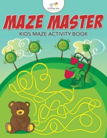 Image for Maze Master
