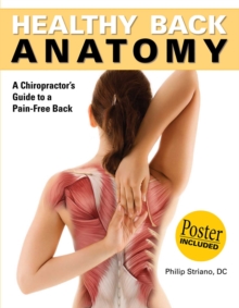 Image for Healthy Back Anatomy